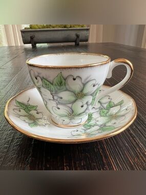 Salisbury Dogwood tea cup & saucer porcelain coffee floral white Jonroth blossom